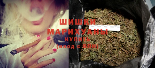 хмурый Абаза