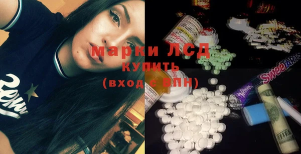 хмурый Абаза