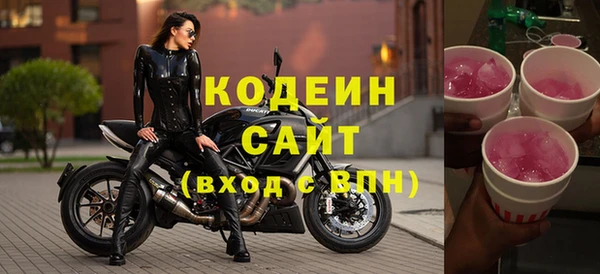 хмурый Абаза