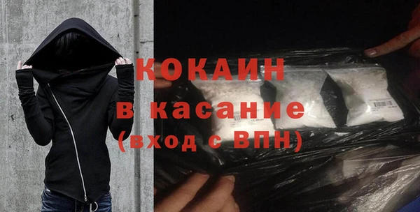 хмурый Абаза