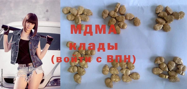 хмурый Абаза
